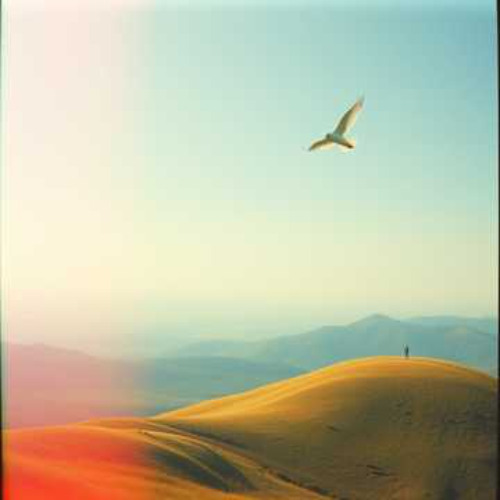 Flying Away
