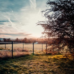 Old Fence Row (Expanded Suite For Chamber Ensemble)