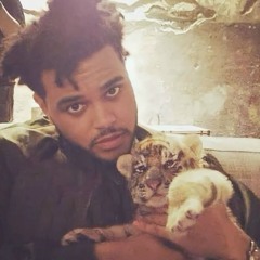 appointment - the weeknd (unreleased)