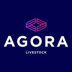 6 January - Leongatha Cattle (MLA)