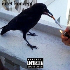 01 - intet koncept