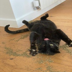 kkamii* & tw!n - till da sun upp // #☀️ #🍃