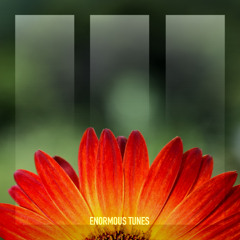 Helvetic Nerds - En France