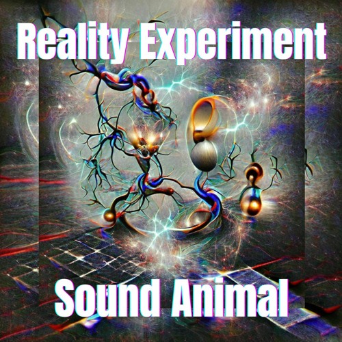 Reality Experiment
