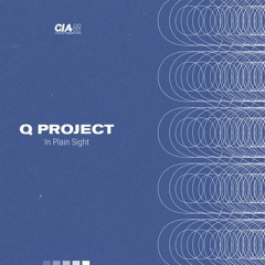 Q Project 'Every Time' [C.I.A Records]