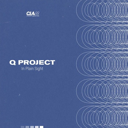 Q Project 'Every Time' [C.I.A Records]