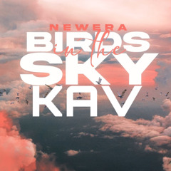 Birds In The Sky (KAV Remix)