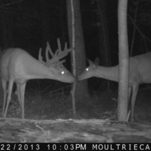 my eyes have a different lens, im sorry.