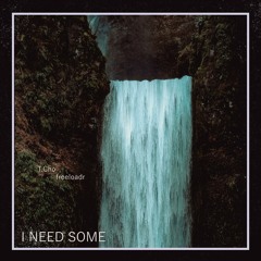 freeloadr & T.Cho - I NEED SOME