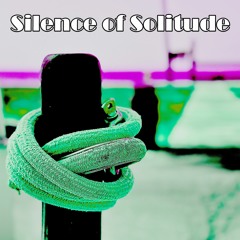 Silence Of Solitude