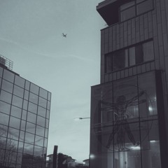 Flying