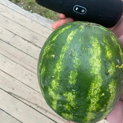 contact watermelon