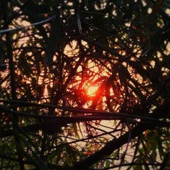 Ray of Hope