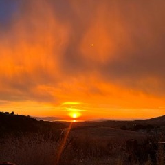 ROAD TRIPPING ALONG THE WEST COAST