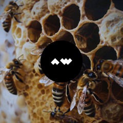 Joey Risdon - Resurgence