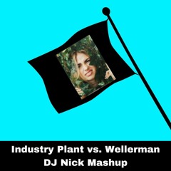 Roxy Dekker vs. Nathan Evans - Industry Plant vs. Wellerman (DJ Nick Mashup)