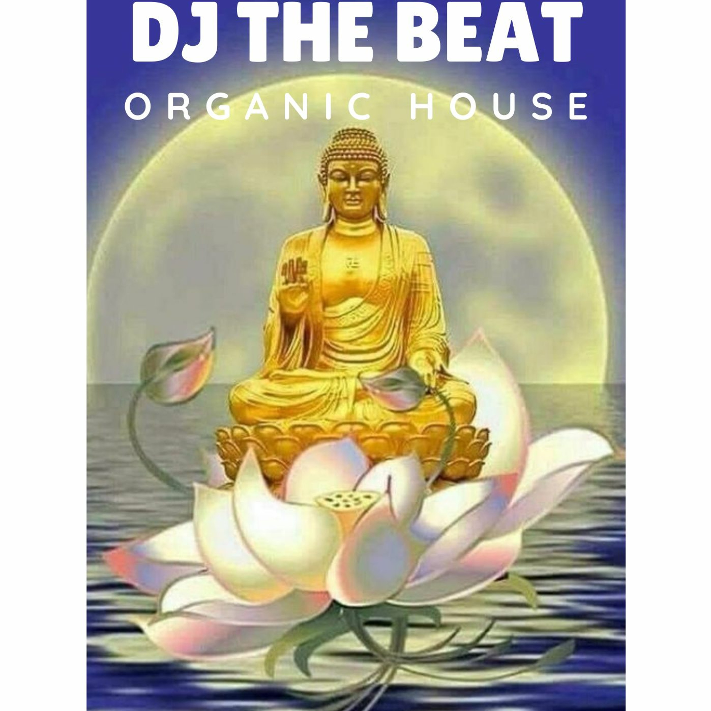 dj thebeat