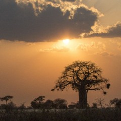 One New Afro World Song For Us