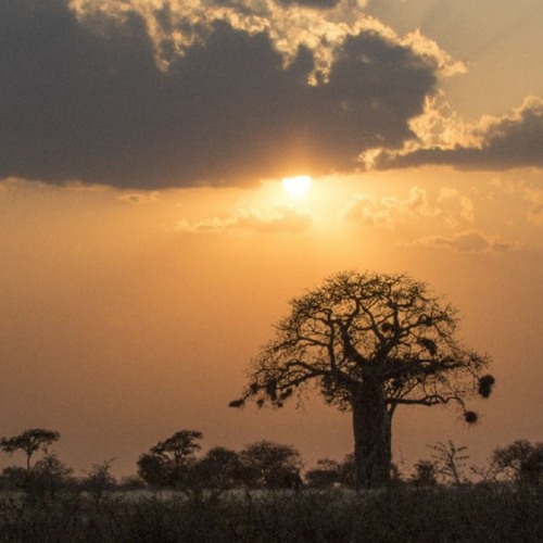 One New Afro World Song For Us