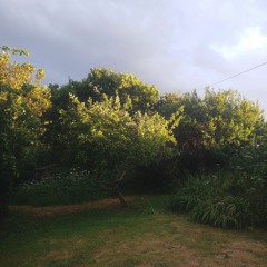 Gossen