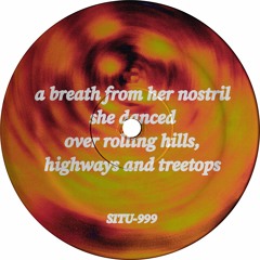 SITU-999 // Primrose - Highways & Treetops
