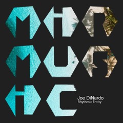 Joe DiNardo - Rhythmic Entity