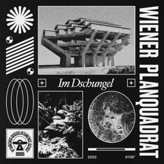 Wiener Planquadrat - Im Dschungel (Birds Remix) [IDI005 | Premiere]