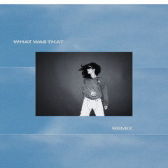 Lorde - What Was That [REMIX]