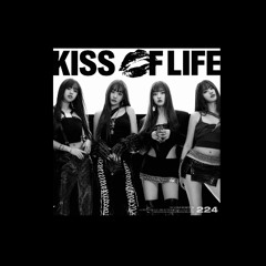 04. Lips Hips Kiss (SHIYE FLIP)