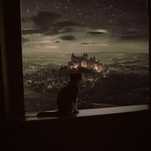 thinking about you (Slowed)
