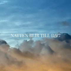 Victor Leksell - Natten Blir Till Dag (Mojnz Remix)
