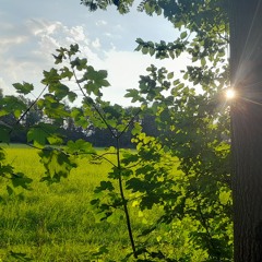 Jason Derulo - Whatcha Say Beautiful Piano