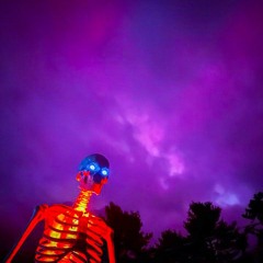 𝕿𝖗𝖎𝖕𝖕𝖎𝖊 𝕽𝖊𝖉𝖉-𝕾𝖐𝖊𝖑𝖊𝖙𝖔𝖓𝖘