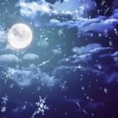 HOLY STARS AND LONELY FRIENDS/SUZY  BEZA