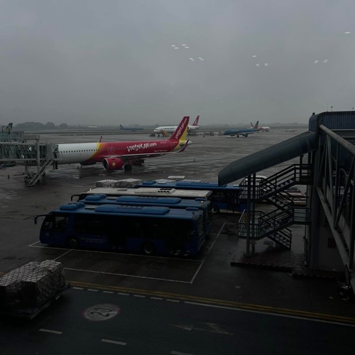 Sự Ưu Tiên Của Em