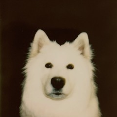 please don't sugarcoat it