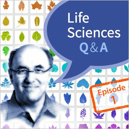 Stephen Wolfram Q&A, Life Sciences: Episode 1
