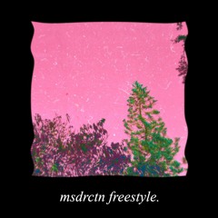 msdrctn freestyle