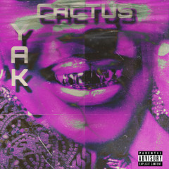 XANMAN$HAWTY - cactus yak (prod. vonchyetta)