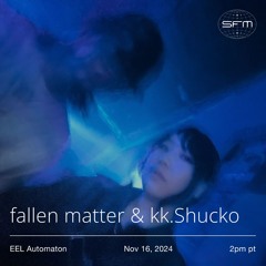 EEL Automaton 10: fallen matter & kk.Shucko