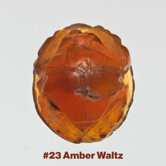 #23 Amber Waltz