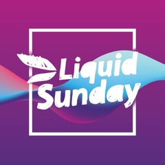 Starfox @ Liquid Sunday 2023