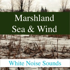 Marshland Sea & Wind