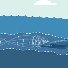 Sofar Ocean Channel (by WxH)