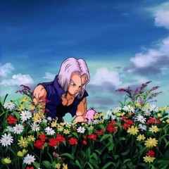 TRUNKS