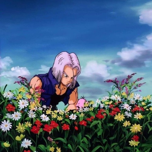 TRUNKS