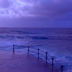 " المدينة البنفسجية "