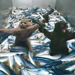 Yenə Haralarasa Gedirik *DEMO*