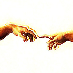 Datfootdive - Discernement