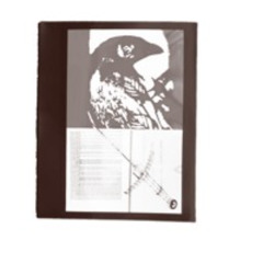 Love is to die (Warpaint cover)